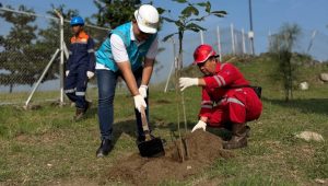 PLN Indonesia Power UBP JPR Tanam Pohon dan Bersih Sampah Peringati Hari Lingkungan Hidup Sedunia