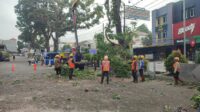 Cegah Pohon Tumbang, PPK 21 Jabar Lakukan Penebangan di Jalan Raya Siliwangi Cicurug
