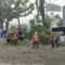 DITEBANG  : PPK 21 Wilayah II Jawa Barat bersama petugas gabungan, saat menebang pohon di Jalan Raya Siliwangi, Kampung Pamoyanan, Kelurahan/Kecamatan Cicurug, Kabupaten Sukabumi.