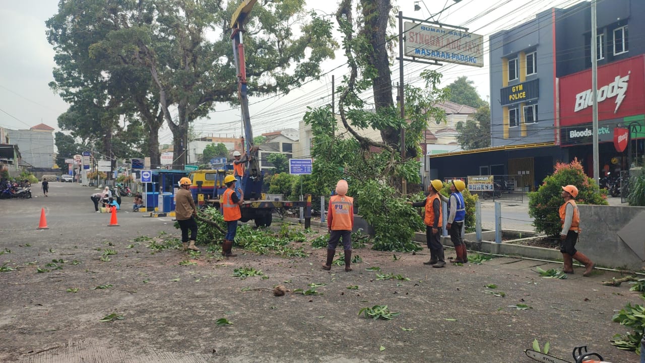 DITEBANG  : PPK 21 Wilayah II Jawa Barat bersama petugas gabungan, saat menebang pohon di Jalan Raya Siliwangi, Kampung Pamoyanan, Kelurahan/Kecamatan Cicurug, Kabupaten Sukabumi.