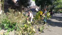 DPUTR Kota Sukabumi Antisipasi Tumbang Saat Cuaca Ekstrem