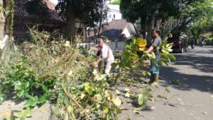 DPUTR Kota Sukabumi Antisipasi Tumbang Saat Cuaca Ekstrem