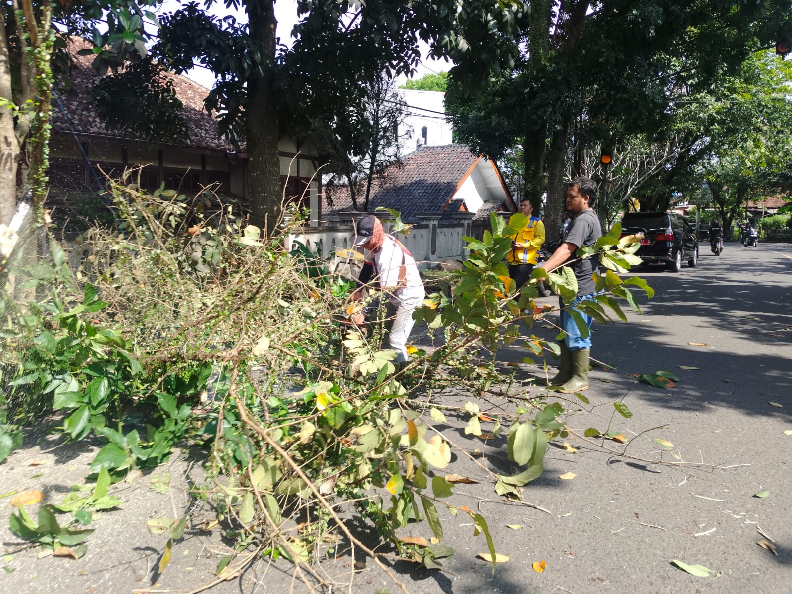 DPUTR Kota Sukabumi  Antisipasi Tumbang Saat Cuaca Ekstrem