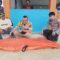 Tim gabungan saat evakuasi mayat yang ditemukan di sekitar Pantai Kalaju, Kampung Cimandala, Desa Cipeundeuy, Kecamatan Surade, Kabupaten Sukabumi. Rabu (30/7/2025).