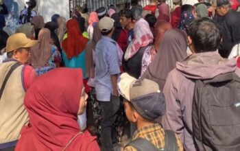 Rangkaian acara pernikahan Wakil Bupati Garut, Luthfianisa Putri Karlina, dengan Maula Akbar, putra Gubernur Jawa Barat Dedi Mulyadi, berakhir tragis.
