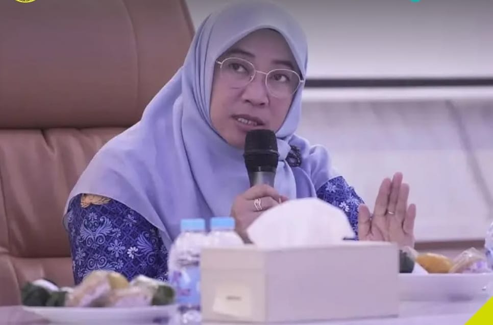 Kepala Dinas Kesehatan Kota Sukabumi, Reni Rosyida Muthmainnah, saat diwawancarai belum lama ini.