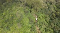 Lahan Perhutanan Sosial di Gunung Cikuray Diserobot Off-Roader, Pengelola Geram
