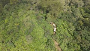 Lahan Perhutanan Sosial di Gunung Cikuray Diserobot Off-Roader, Pengelola Geram