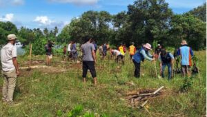 Penampakan Dinas Perikanan Kabupaten Sukabumi Tanam 1.000 Bibit Mangrove di Ciemas