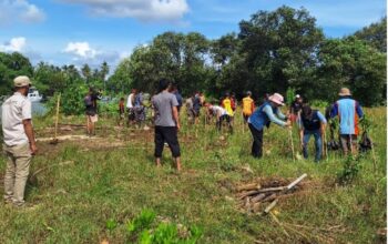 Pemerintah Kabupaten Sukabumi melalui Dinas Perikanan melakukan aksi penanaman 1.000 bibit mangrove di pesisir Desa Mandrajaya, Kecamatan Ciemas, Rabu (16/7/2025).