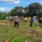 Pemerintah Kabupaten Sukabumi melalui Dinas Perikanan melakukan aksi penanaman 1.000 bibit mangrove di pesisir Desa Mandrajaya, Kecamatan Ciemas, Rabu (16/7/2025).