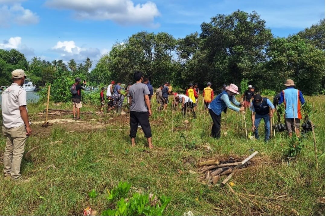 Pemerintah Kabupaten Sukabumi melalui Dinas Perikanan melakukan aksi penanaman 1.000 bibit mangrove di pesisir Desa Mandrajaya, Kecamatan Ciemas, Rabu (16/7/2025).