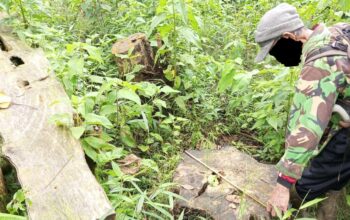 Ribuan warga Desa Cidahu, Jayabakti, dan Pondokaso, Kabupaten Sukabumi, kini menghadapi ancaman krisis air dan bencana ekologis, akibat kerusakan hutan massif di Blok Cangkuang, lereng Gunung Salak.