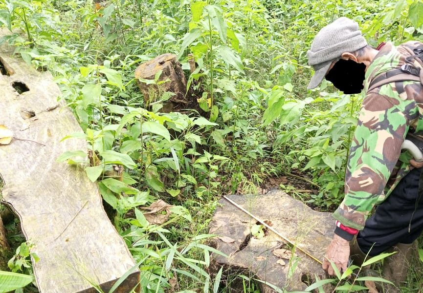 Ribuan warga Desa Cidahu, Jayabakti, dan Pondokaso, Kabupaten Sukabumi, kini menghadapi ancaman krisis air dan bencana ekologis, akibat kerusakan hutan massif di Blok Cangkuang, lereng Gunung Salak.