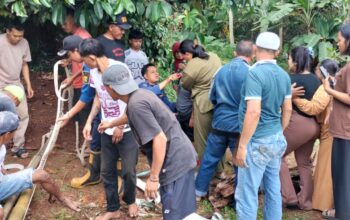 DIEVAKUASI : Warga dan petugas Damkar saat berjibaku mengevakuasi Paska (8) yang terperosok ke dalam sumur di Kampung Cikupa, RT 18/RW 06, Desa/Kecamatan Sagaranten, Kabupaten Sukabumi pada Selasa (29/07) siang.