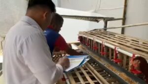 Panen Telur Ayam, Lapas Sukabumi Dorong Kemandirian dan Ketahanan Pangan
