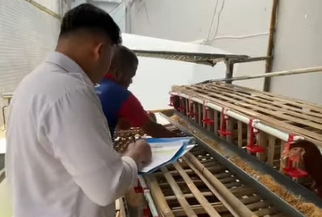 PANEN TELUR: Sejumlah warga binaan Lapas Kelas IIB Sukabumi saat panen telur ayam, belum lama ini.