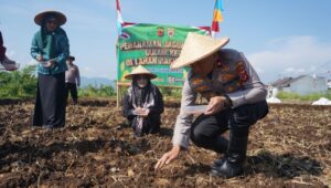 Polres Sukabumi  dan DKP3 Laksanakan Kegiatan Penanaman Jagung
