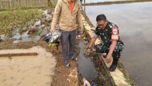 Geger, Mayat Bayi Laki-Laki Ditemukan di Saluran Air Sawah di Cibatu 
