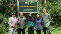 Orangutan Dodo Segera Dipindahkan ke Habitat Asli, Disnak Lakukan Pemeriksaan