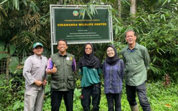 Suasana observasi tim Disnak Sukabumi di PPSC Nyalindung.