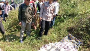 Jasad Penjual Bubur di Cikembar Ditemukan di Semak-Semak