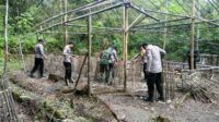 Penampakan Arena Sabung Ayam di Jampangkulon Dibongkar
