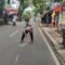 Kecelakaan maut terjadi di Jalan Raya Palabuhan II, Kampung Sampora, Desa Bojongraharja, Kecamatan Cikembar, Kabupaten Sukabumi, Sabtu (9/8) pagi. Seorang mahasiswa