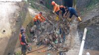 BPBD Kota Sukabumi Tangani TPT Ambruk di Sungai Ciseureuh