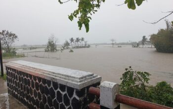 Hujan deras yang mengguyur wilayah Kecamatan Tegalbuleud, Kabupaten Sukabumi, sejak Senin sore (11/8/2025) hingga Selasa pagi (12/8/2025), menyebabkan banjir melanda sepanjang aliran Sungai Ciparanje