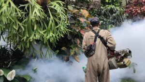 Waspada DBD, Dua RW di Gunungparang Sukabumi Difogging Massal