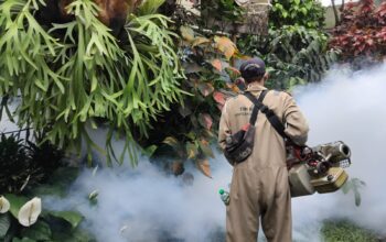 Petugas saat melakukan fogging di Kelurahan Gunungparang – IST/RADARSUKABUMI
