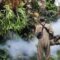 Petugas saat melakukan fogging di Kelurahan Gunungparang – IST/RADARSUKABUMI