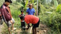Mahasiswa KKN Nusa Putra Tanam 500 Pohon di Cikidang dan Bumisari, Cegah Longsor