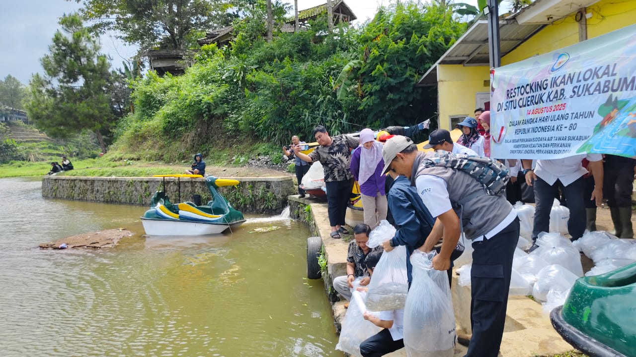 Sebanyak 40 ribu ekor ikan wader ( Rasbora spp.) dan paray ( Puntius/Barbodes spp.) ditebar di dua titik: Situ Batu Karut dan Situ Cijeruk, Kecamatan Sukaraja.