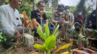 Buntut Kasus Balita Raya, Desa Cianaga  Kena Sanksi, DPMD Pasrah