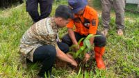 Hijaukan Desa, BPBD Sukabumi Gencarkan Penanaman Pohon di Wilayah Rawan