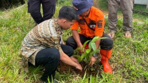 Hijaukan Desa, BPBD Sukabumi Gencarkan Penanaman Pohon di Wilayah Rawan
