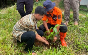 Suasana saat kegiatan penanaman pohon, BPBD bersama masyarakat di Desa Nangkakoneng, Kecamatan Cikidang.