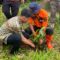 Suasana saat kegiatan penanaman pohon, BPBD bersama masyarakat di Desa Nangkakoneng, Kecamatan Cikidang.