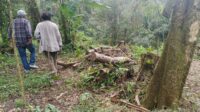 Gunung Salak Terkoyak, Warga Cidahu Tantang Penegak Hukum Bertindak!