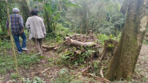 Gunung Salak Terkoyak, Warga Cidahu Tantang Penegak Hukum Bertindak!