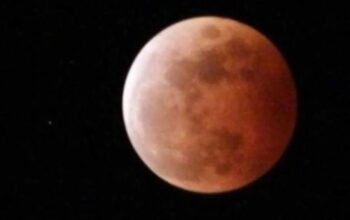 Bayangan bumi menutupi permukaan bulan saat terjadinya fenomena gerhana bulan total diamati di Taman Titi Banda Denpasar, Bali, Rabu (26/5/2021). Gerhana bulan yang disebut juga fenomena "Super Blood Moon" tersebut berlangsung sekitar 5 jam 5 menit dan dapat disaksikan dari seluruh Indonesia. (Nyoman Budhiana)
