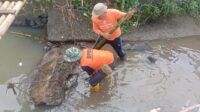 BPBD Sukabumi Evakuasi Sampah dan Material Penghambat Aliran Air