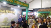 Dinas Perikanan Sukabumi Tampilkan Ikan Koi hingga Penyu: Edukasi dan Konservasi di Panggung HJKS
