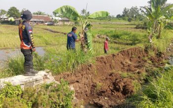 MONITORING: BPBD Kota Sukabumi melakukan asesmen terkait ambruknya tembok penahan tebing (TPT) di RT1/4 Kelurahan Babakan, Kecamatan Cibeureum, Minggu (7/9).