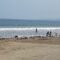 Puluhan warga dan pedagang di kawasan Ruang Terbuka Hijau (RTH) Pantai Citepus, Kecamatan Palabuhanratu, Kabupaten Sukabumi, bergotong royong membersihkan tumpukan sampah yang berserakan di sepanjang garis pantai, Sabtu (6/9/2025) dan Minggu (7/9/2025).