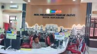 Bacile Jadi Primadona Baru Investasi di Sukabumi