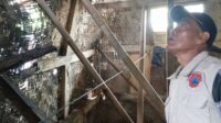 Rumah Rutilahu di Situ Mekar Roboh, BPBD Turun Tangan