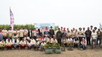 Pertamina Patra Niaga Regional JBB Hadirkan Sekolah Patra Bahari dan Program Mangrove di Desa Sedari